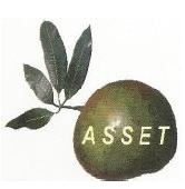 The Association of Small Scale Enterprises in Tourism (ASSET)'s Logo'