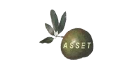 ASSET [LOGO]