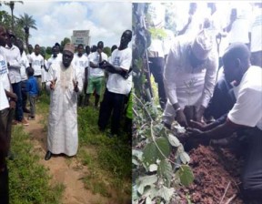 Environment minister leads 1, 500 tree planting at Mandinaba - COVER IMAGE