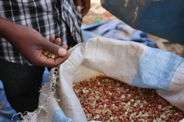 Handing Over Ceremony of Agro Processing Equipment