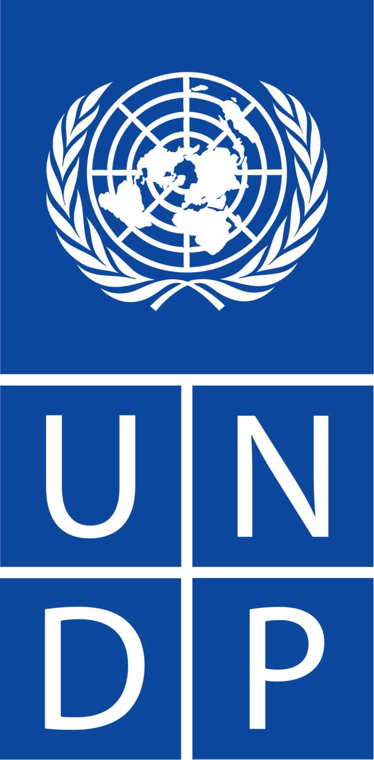 UNDP's Logo'